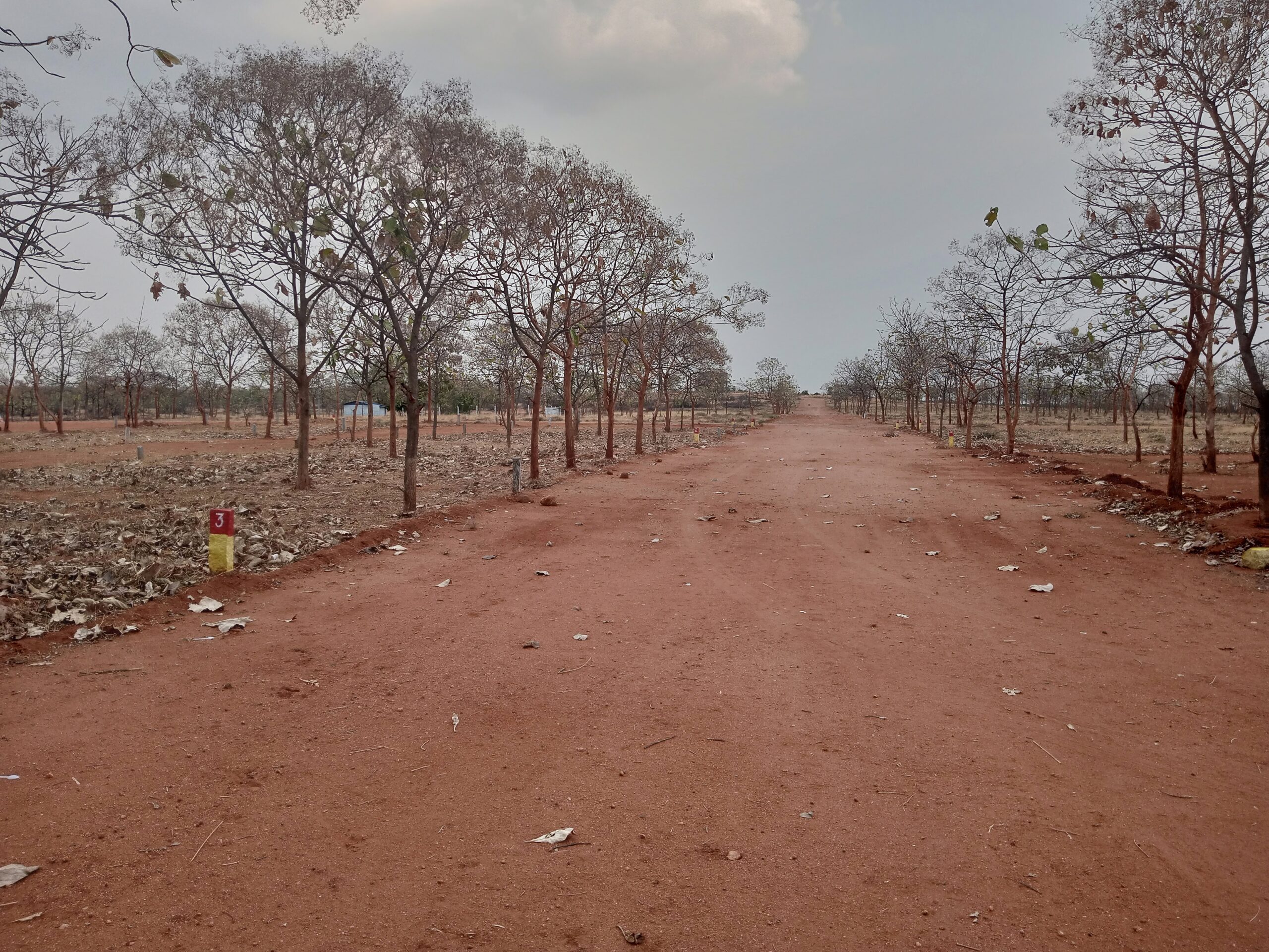 inbound7419623499422645501