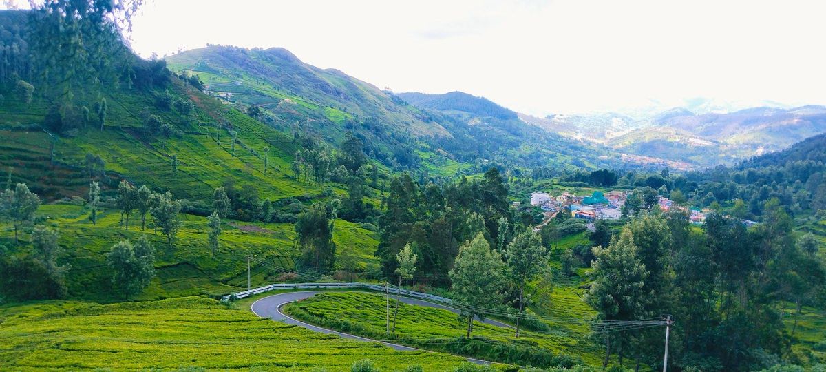 353825061_1376522889863768_4960438258372712079_n