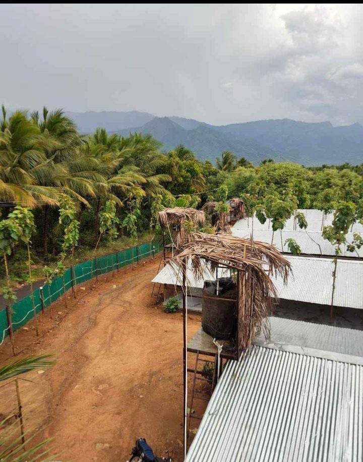 WhatsApp-Image-2024-02-16-at-2.16.40-PM-2